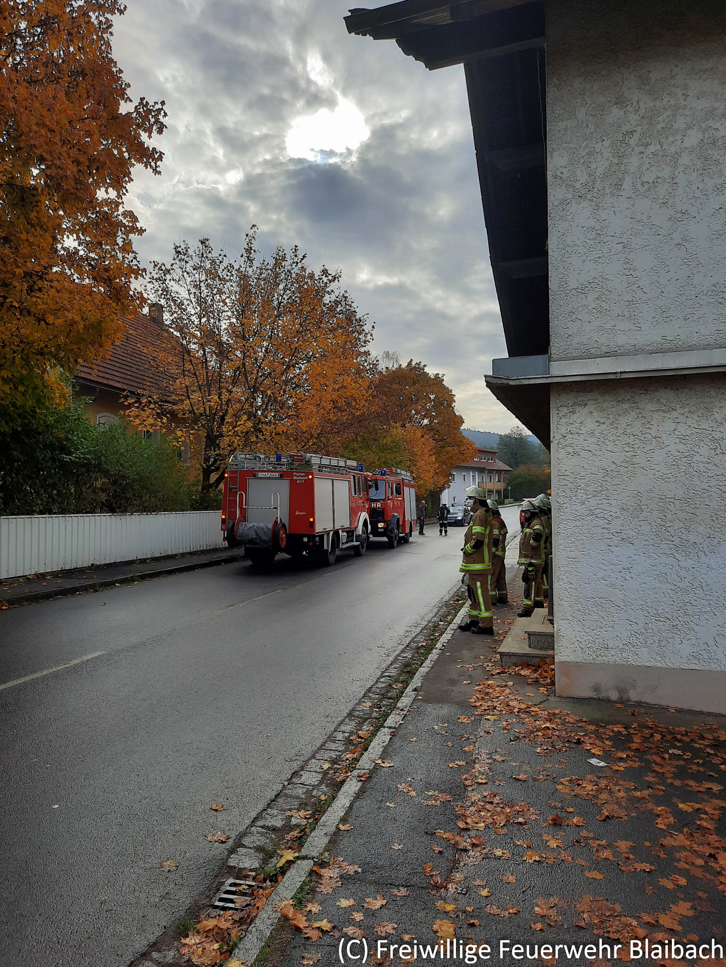 Brand eines Storchennests