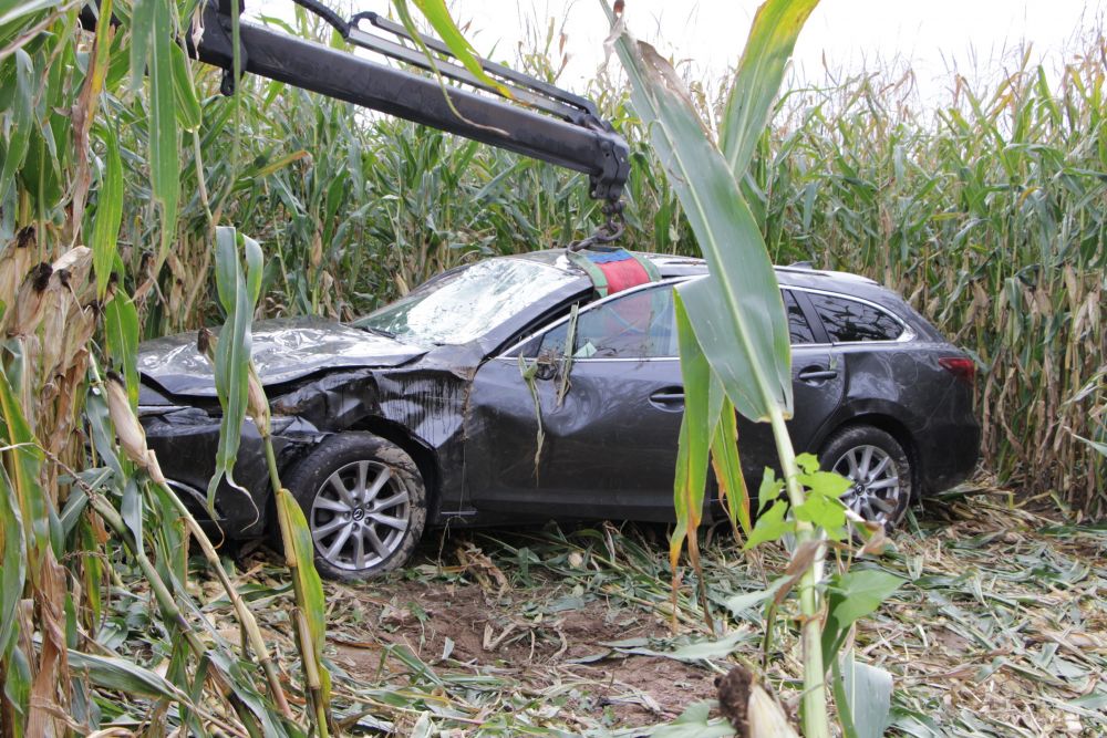 Auto landet im Maisfeld